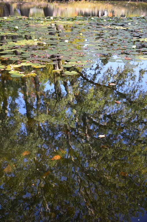 2017-10-01 Berlin/DSC_0047.JPG